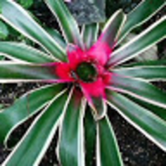 Meet your Posher, Angie - Picture 1 of 1